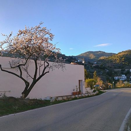 Finca El Almendro Archez Ngoại thất bức ảnh