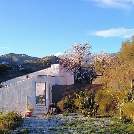 Finca El Almendro Archez Ngoại thất bức ảnh