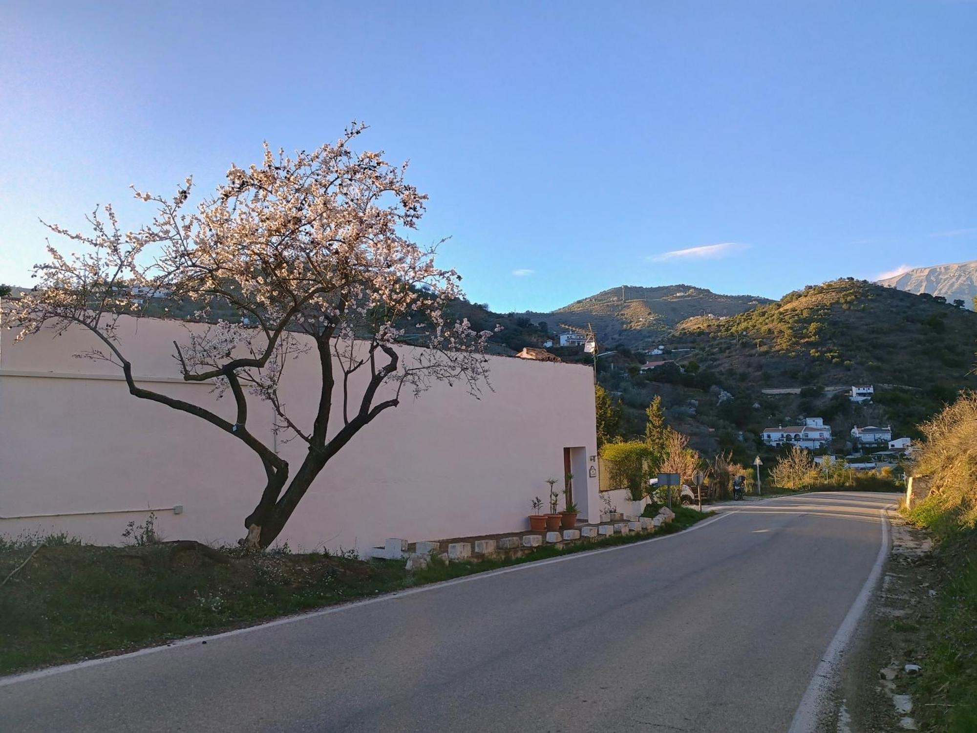 Finca El Almendro Archez Ngoại thất bức ảnh