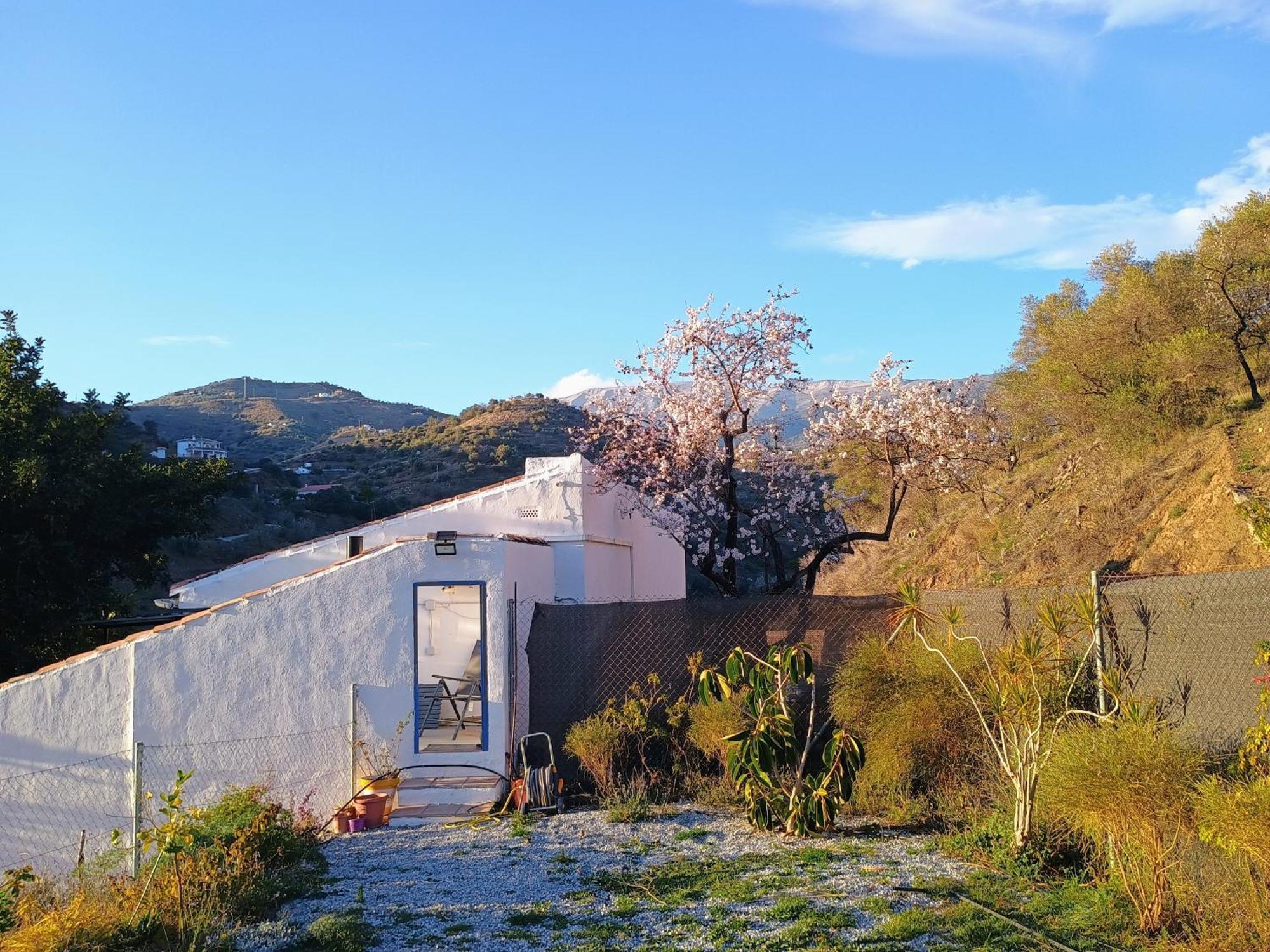 Finca El Almendro Archez Ngoại thất bức ảnh